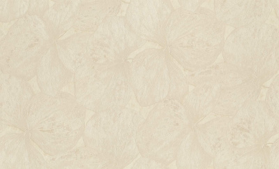 rapport