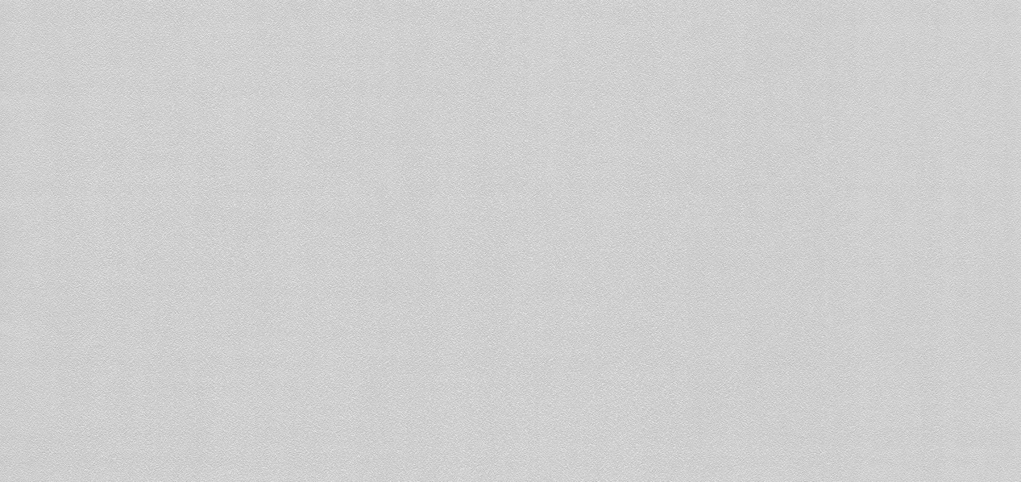 rapport
