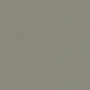rapport